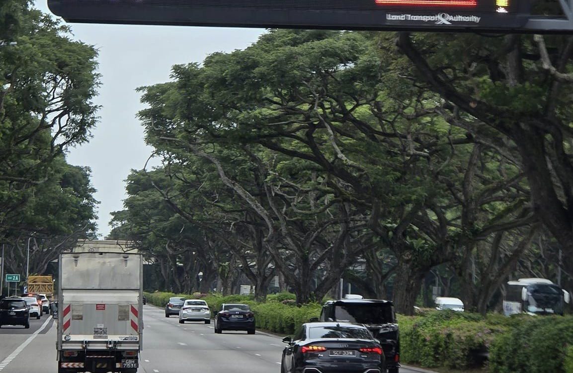 Man spotted walking along ECP near Changi, alert issued on electronic signboard