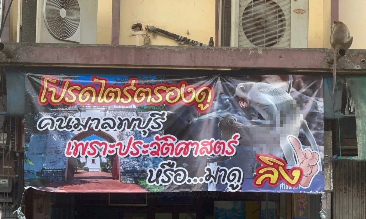 Monkeys in Thailand ‘remove’ signs protesting monkey tourism