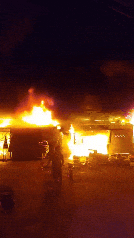 118 Chatuchak Market shops destroyed in fire, around 1,000 animals burned alive