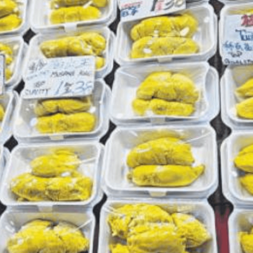 durians prices